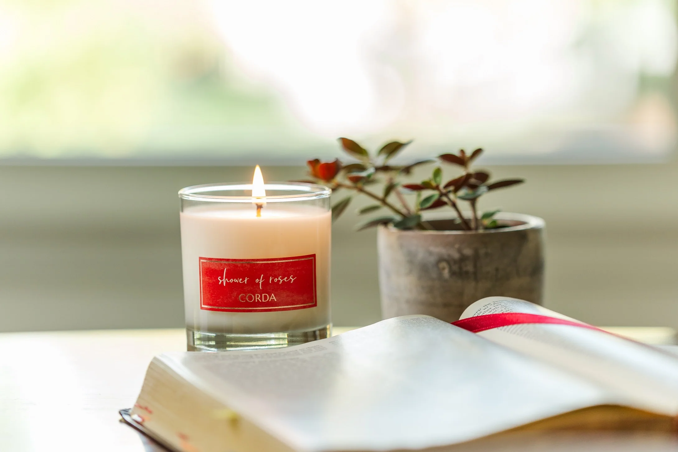 Illuminate Your Domestic Church