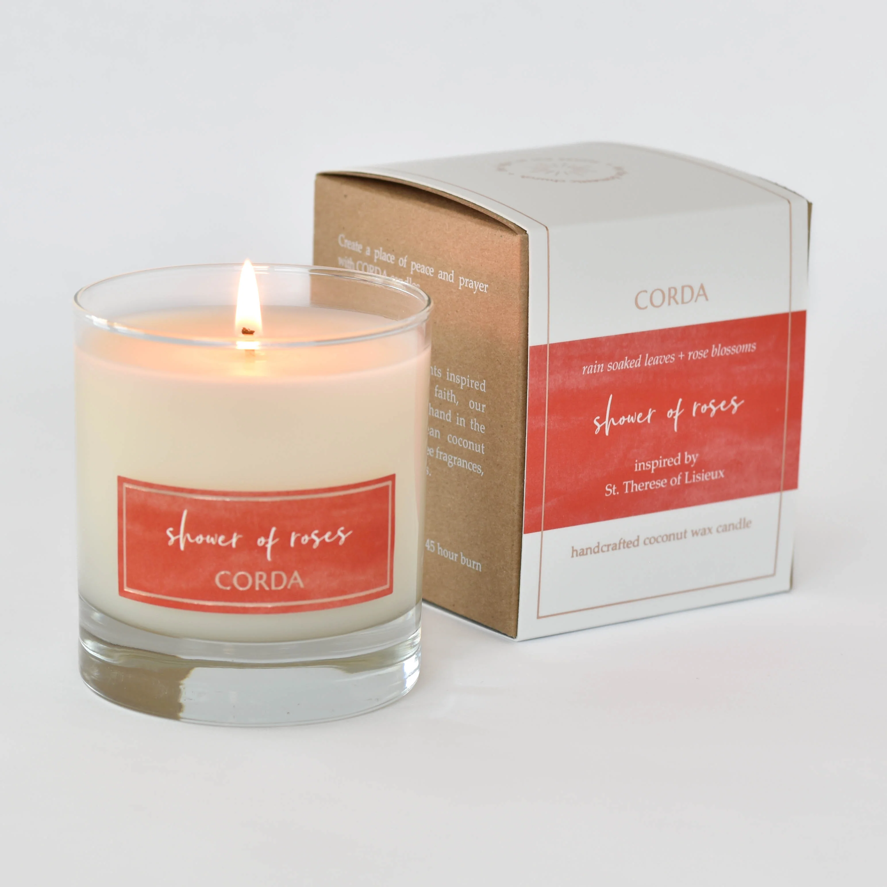 Doctors of the Church Set - Image 4