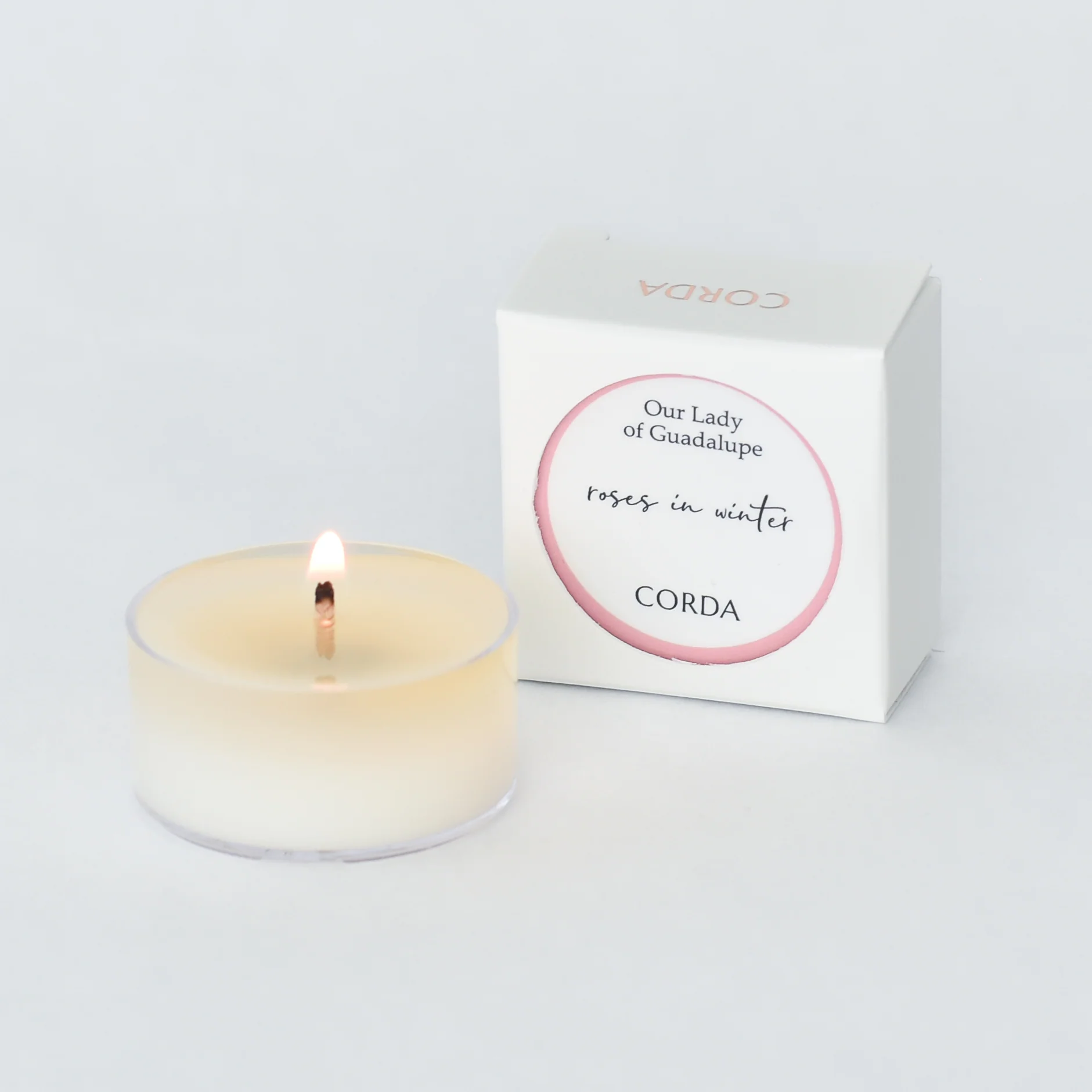 Roses in Winter - Image 8