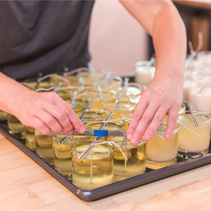 Shower of Roses - Image 3